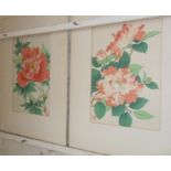 Pair of Chinese watercolours of Chrysanthemums