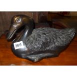 Oriental bronze duck