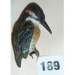 Austrian cold painted bronze Kingfisher