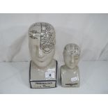 Two phrenology heads, one approximately 24 cm (h) and the other approximately 17 cm (h).