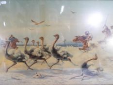 A print depicting ostriches being hunted, framed under glass,