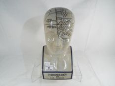 A large phrenology head, height 30 cm - This lot MUST be paid for and collected,