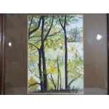 A watercolour mounted and framed under glass by Sheila Gerrard entitled Autumn in Broad Bottom,