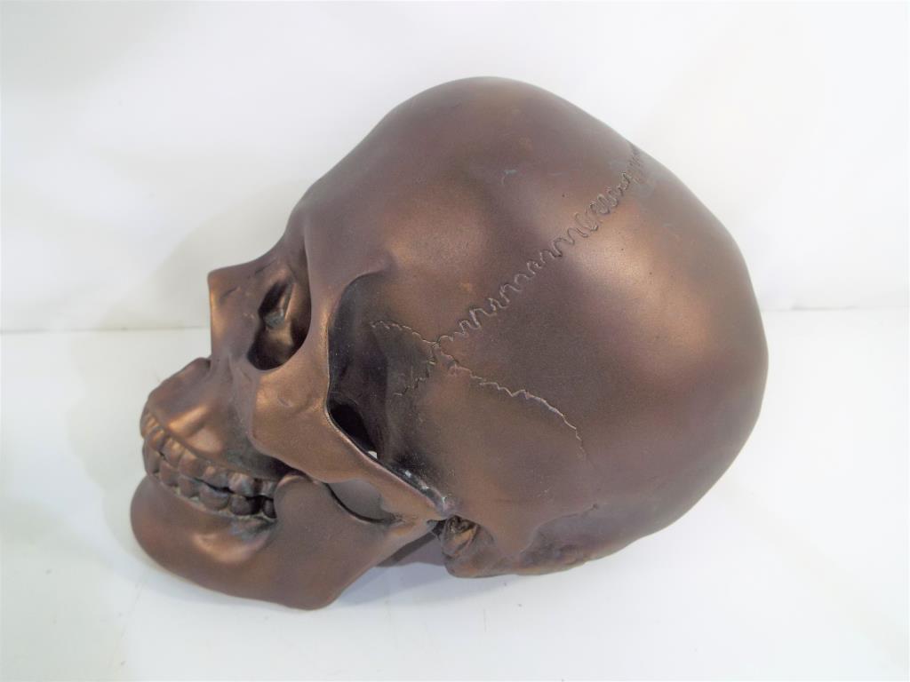 A bronze coloured skull. Estimate £15 -