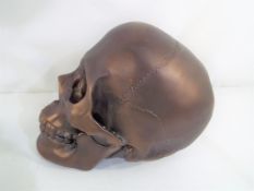 A bronze coloured skull. Estimate £15 -