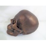 A bronze coloured skull. Estimate £15 -