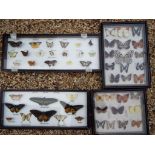 Entomology - four display cases containing a good collection of mounted exotic butterflies and
