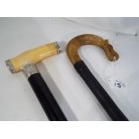 A walking stick with a carved horn handle and a further walking stick with bone handle and