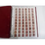 Philately - A binder containing Penny Red stamps on A4 sheets, 480 stamps in total.