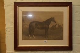 Oak framed horse study 'Mint Sauce'