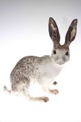 Winstanley model of a hare,