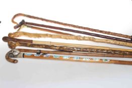 Eight various walking sticks