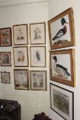Collection of fourteen watercolours and prints, including set of four seasons, waterfowl,