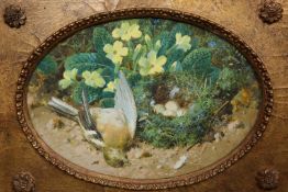 WILLIAM CRUIKSHANK (1848-1922), STILL LIFE OF A BIRDS NEST WITH EGGS AND DEAD GREENFINCH, a pair,