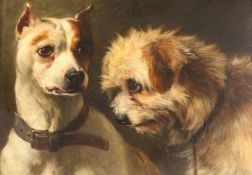 ENGLISH SCHOOL (19TH CENTURY), STUDY OF TWO DOGS, unsigned, oil on board, framed. 29.5cm by 39.