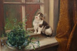 WILSON HEPPLE (1854-1937), A KITTEN WATCHING THE RAIN THROUGH A WINDOW, signed and dated 189(8)?,