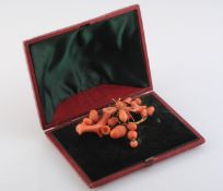 A MID 19TH CENTURY CORAL BROOCH, ornately carved to depict a branch with multiple acorn highlights,