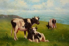 ENGLISH SCHOOL, CATTLE IN A CLIFFTOP MEADOW, unsigned, oil on board, framed. 25.5cm by 35.
