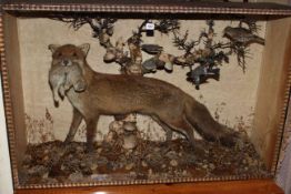 Large cased taxidermy of fox carrying a rabbit with birds on branches behind