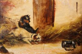 FRANK CASSELL (BRITISH, 19TH CENTURY), TERRIERS, A SET OF FOUR, each signed, oils on canvas, framed.