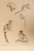 EILEEN ALICE SOPER (1905-1990), RING-TAILED LEMUR, five pencil sketches on one sheet,