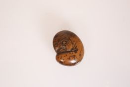 A JAPANESE WOOD NETSUKE OF DARUMA, 19th Century, carved with his body enveloped in a robe,