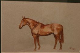 TOM CARR (1912-1977), STUDY OF A HORSE, signed, watercolour, framed.