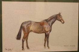 TOM CARR (1912-1977), BROWN SUGAR - STUDY OF A HORSE, signed, watercolour, framed.