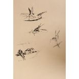 EILEEN ALICE SOPER (1905-1990), SWALLOWS, three sheets of sketches, Chris Beetles stamp, unframed.