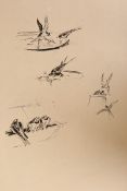 EILEEN ALICE SOPER (1905-1990), SWALLOWS, three sheets of sketches, Chris Beetles stamp, unframed.