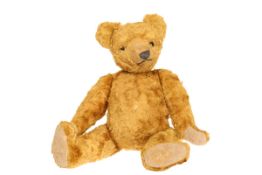 A PLUSH TEDDY BEAR, with hump back, no button.