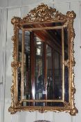 Ornate gilt framed rectangular marginal mirror,