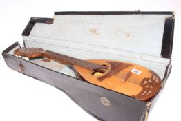 Cased mandolin