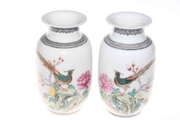 Pair Chinese vases with character marks and exotic birds