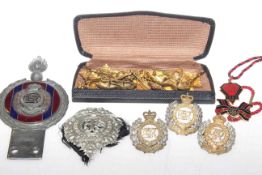 Collection of military and other badges