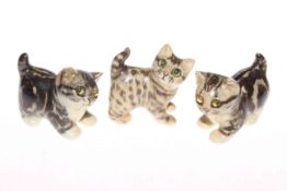 Three Winstanley playful kittens,