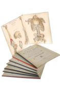 WITKOWSKI (GUSTAVE JOSEPH), HUMAN ANATOMY AND PHYSIOLOGY, A MOVABLE ATLAS, parts 1-8,