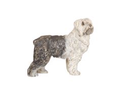 A COLD PAINTED BRONZE MODEL OF AN OLD ENGLISH SHEEPDOG.