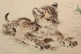 AFTER RALPH THOMPSON, TIGER CUB WATCHING A CRICKET, lithograph, framed. 38.5cm by 58.