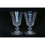 A PAIR OF LATE 18th CENTURY GLASS RUMMERS, each with part panelled bucket bowl,