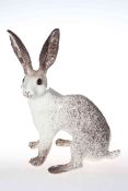 Winstanley Arctic hare,