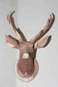 Carved wood model of stags head