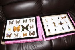 Pair framed butterfly,
