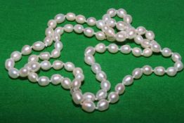 Rice shape freshwater pearl necklace