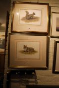 Simon Turvey (Born 1957), Fox and Squirrel, two watercolours, each signed,