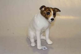 Winstanley Jack Russell,