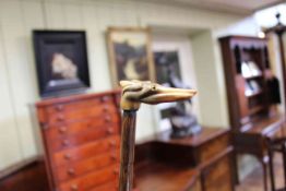 Walking cane with silver band and horn greyhound handle