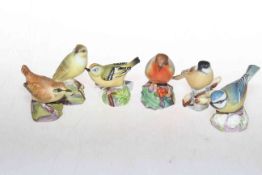 Six Royal Worcester bird models