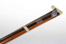 Ivory-handled cane with malacca shaft,