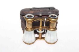Vintage mother-of-pearl opera glasses,